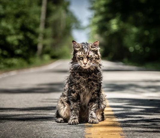 Best New Movie Trailers of the Week