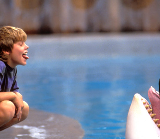 5 Adored Animal Films