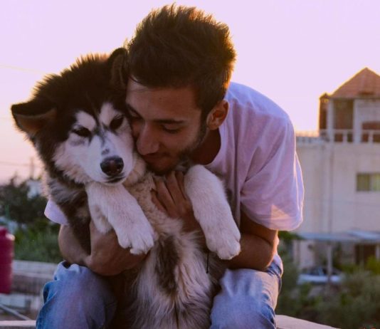 Netflix Renews “Dogs” Docuseries