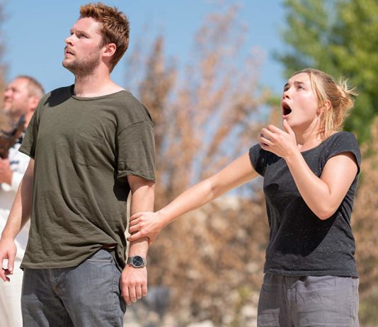 “Midsommar”: an Insane Thriller in Broad Daylight