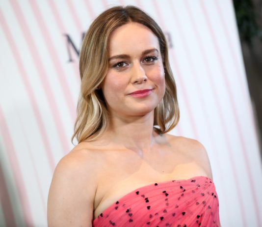 Brie Larson at the Women In Film Crystal and Lucy Awards in 2018