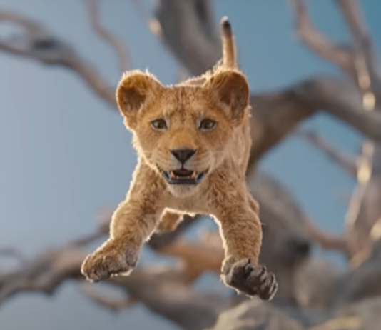 “Mufasa: The Lion King” Trailer Explores the Origins of the Disney Classic Screenshot from "Mufasa: The Lion King"